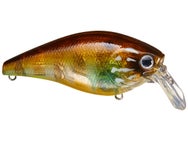 Lucky Craft Fat CB SR Squarebill Crankbait 