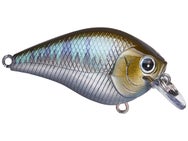 Lucky Craft Silent Fat BDS1 Squarebill Crankbaits