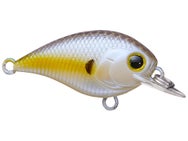 Lucky Craft LC 0.2 FTS Squarebill Crankbaits