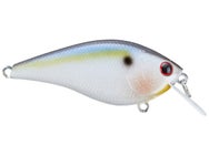 Lucky Craft KJ Flat 1.5 Silent Crankbaits