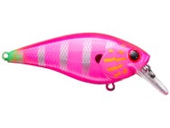 Lucky Craft BDS Magic Pink Dragon Gill 2.2