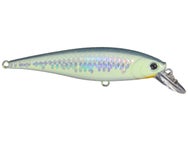 Lucky Craft Pointer Minnow 100mm Jerkbaits 