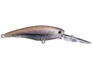 Lucky Craft Staysee 60 JP Jerkbaits 