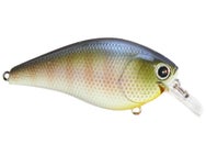 Lucky Craft LC 2.5 Silent Squarebill Crankbait