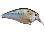 Lucky Craft LC 2.5 Silent Squarebill Crankbait