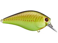Lucky Craft LC 2.5 Silent Squarebill Crankbait