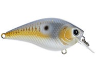 LC Silent 2.5 Gold Threadfin Shad