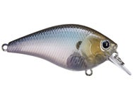 Lucky Craft LC 2.5 Silent Squarebill Crankbait