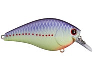 Lucky Craft LC 2.5 Silent Squarebill Crankbait