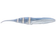 Lake Fork Live Swim'n Slug 10pk