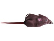 Lunkerhunt Furenzy Mouse