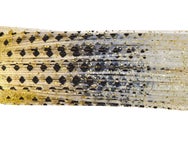 Lure Parts Online Bass Academy Diamond Print Skirts 10p