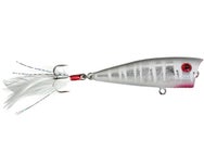 Lobina Rico Albino