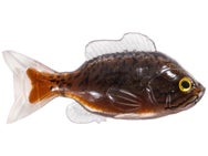 LIVETARGET ICT Unrigged Sunfish Swimbait