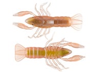LIVETARGET Unrigged Craw Natural Yellow 3.8"