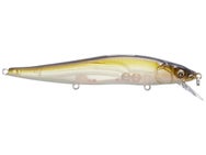 Vision 110 Golden Brownie