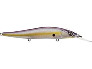 Megabass Ito Vision 110+1 Jerkbaits 