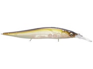 Megabass Ito Vision 110+1 Jr. Golden Brownie