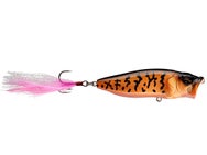 Megabass Pop Max Mikkabi Coach