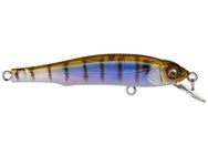 Megabass X-70 BFS Jerkbait
