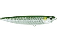 Molix WTD Topwater 