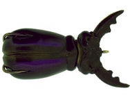 Molix Supernato Beetle