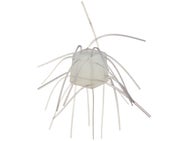 OSP Magnum 14mm Saikoro Dice Rubber Non-Salt Soft Bait