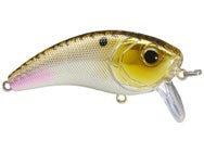 6th Sense Movement 60 WK Saltwater Wakebait