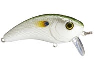 6th Sense Movement 60 WK Saltwater Wakebait