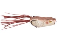 Molix Pop Frog