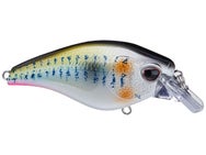 Nomad Design Atlas 70 Squarebill Crankbait