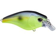 Nomad Design Atlas 55 Squarebill Crankbait