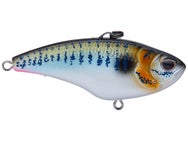 Nomad Design Swimtrex Max Lipless Crankbait