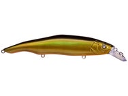 Nishine Erie 115SD Black Back Gold 