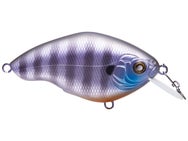 Nishine Lure Works Chippawa RB Crankbait