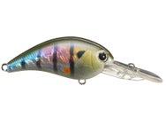 Nories Worming Crank Shot Full Size Crankbait