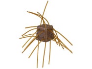 OSP Magnum 14mm Saikoro Dice Rubber Max Salt Soft Bait