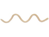 OSP MMZ Worm