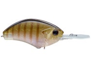 OSP Blitz MR Crankbait
