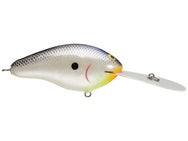 PH Custom Lures Ledge P16 Crankbait