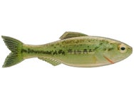 6th Sense Plump Panorama