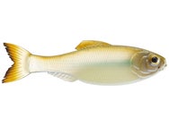 6th Sense Panorama Shad
