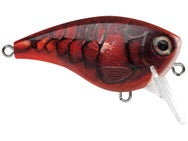 Rapala Balsa Xtreme BX Big Brat Squarebill Crankbait