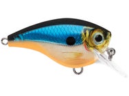 Rapala Balsa Xtreme BX Brat 6 Squarebill Crankbaits