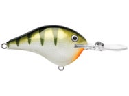 Rapala DT12 Series Crankbaits