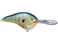 Rapala DT14 Series Crankbaits