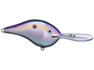 Rapala DT16 Series Crankbaits 