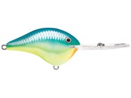 Rapala DT20 Caribbean Shad 