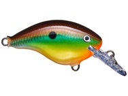 Rapala DT4 Bream