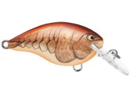 Rapala DT4 Series Crankbaits 